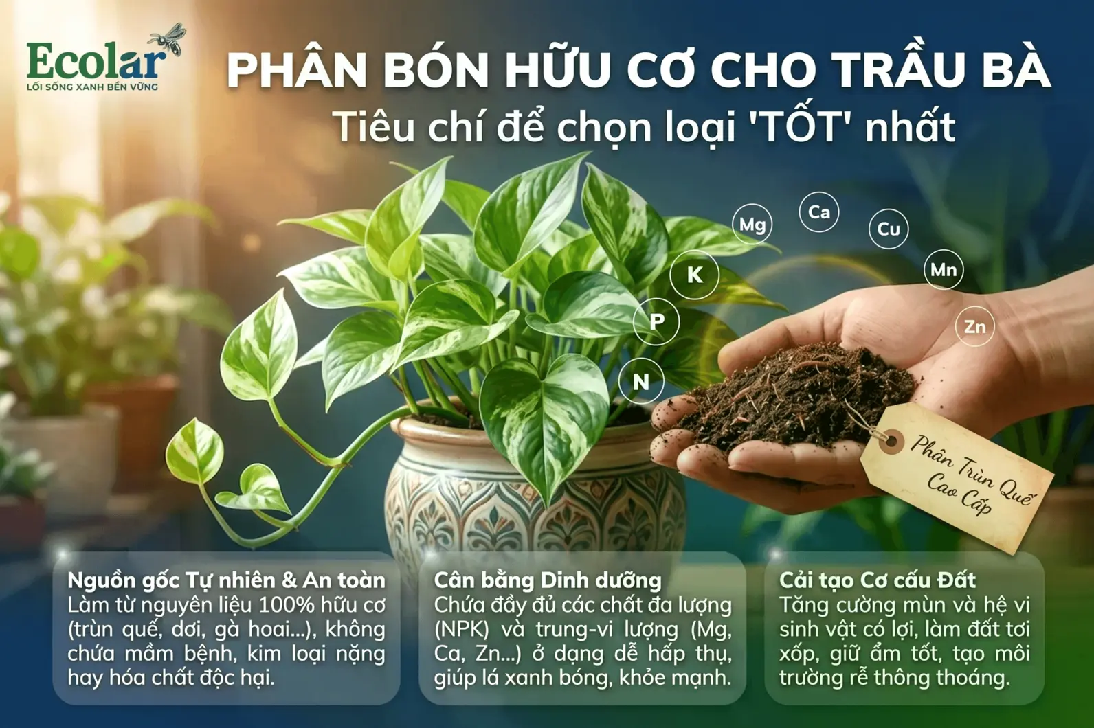 1785471334474.webp