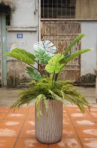 Chọn cây giả trang trí nhà chung cư cho nam mệnh kim thì chọn loại nào phù hợp ạ!