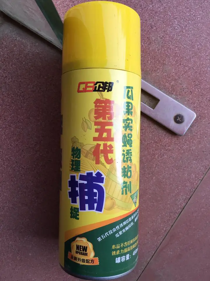 18300848_322241921527368_7363854982908659343_n - Copy.webp