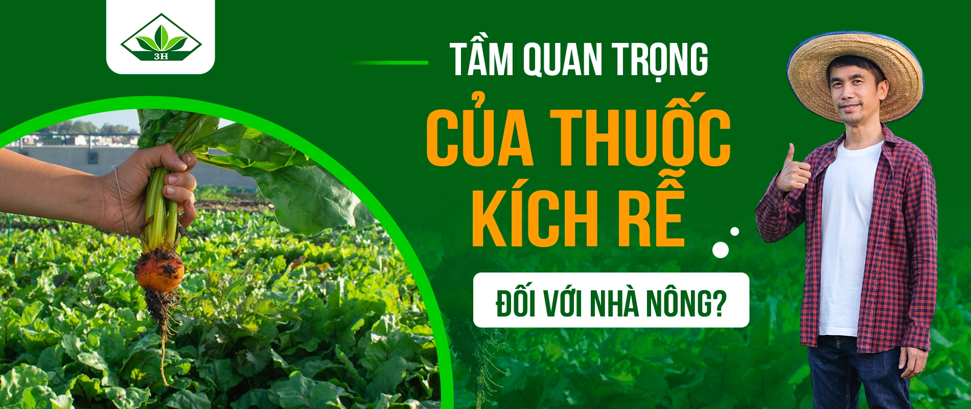 Tầm quan trọng của thuốc kích rễ đối với nhà nông?