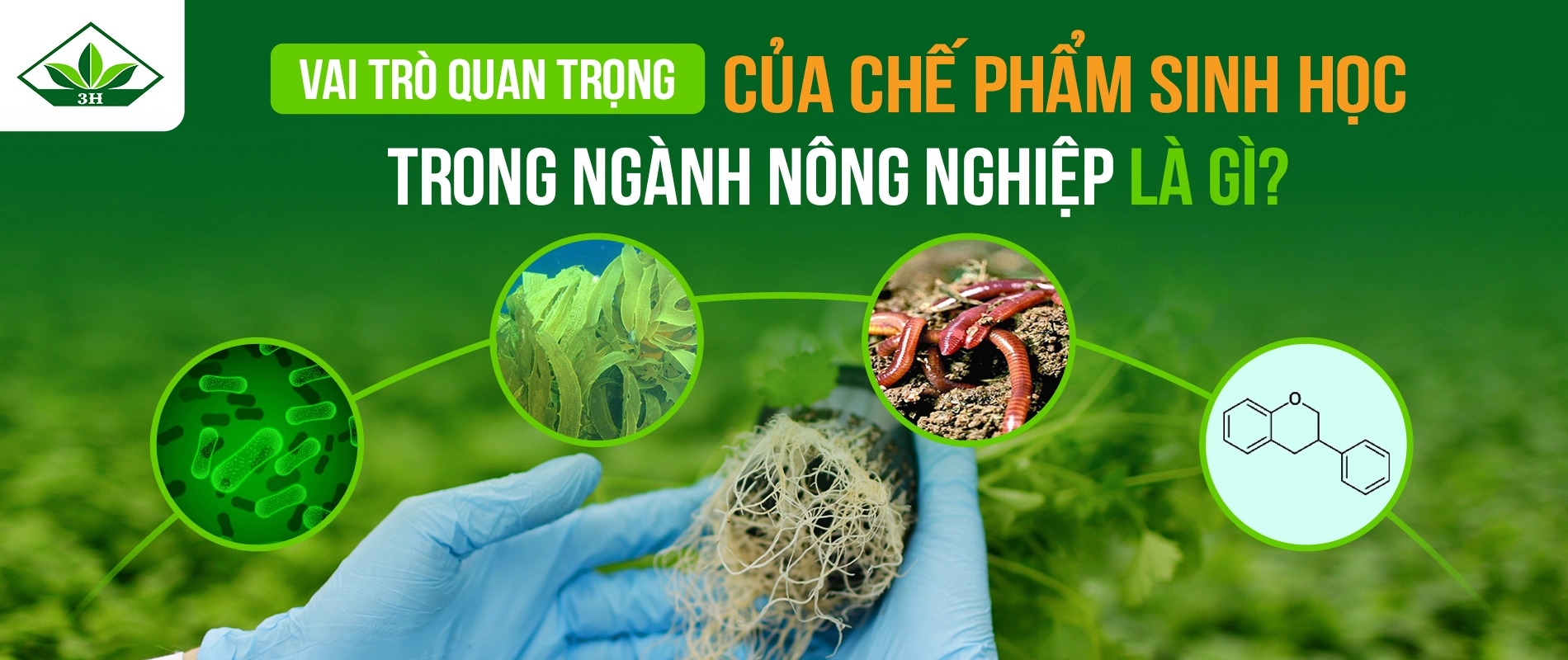 Vai trò quan trọng của chế phẩm sinh học trong ngành nông nghiệp là gì?