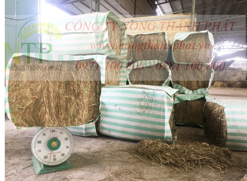 1a4ea9b7f6c80f9656d9 (FILEminimizer).webp