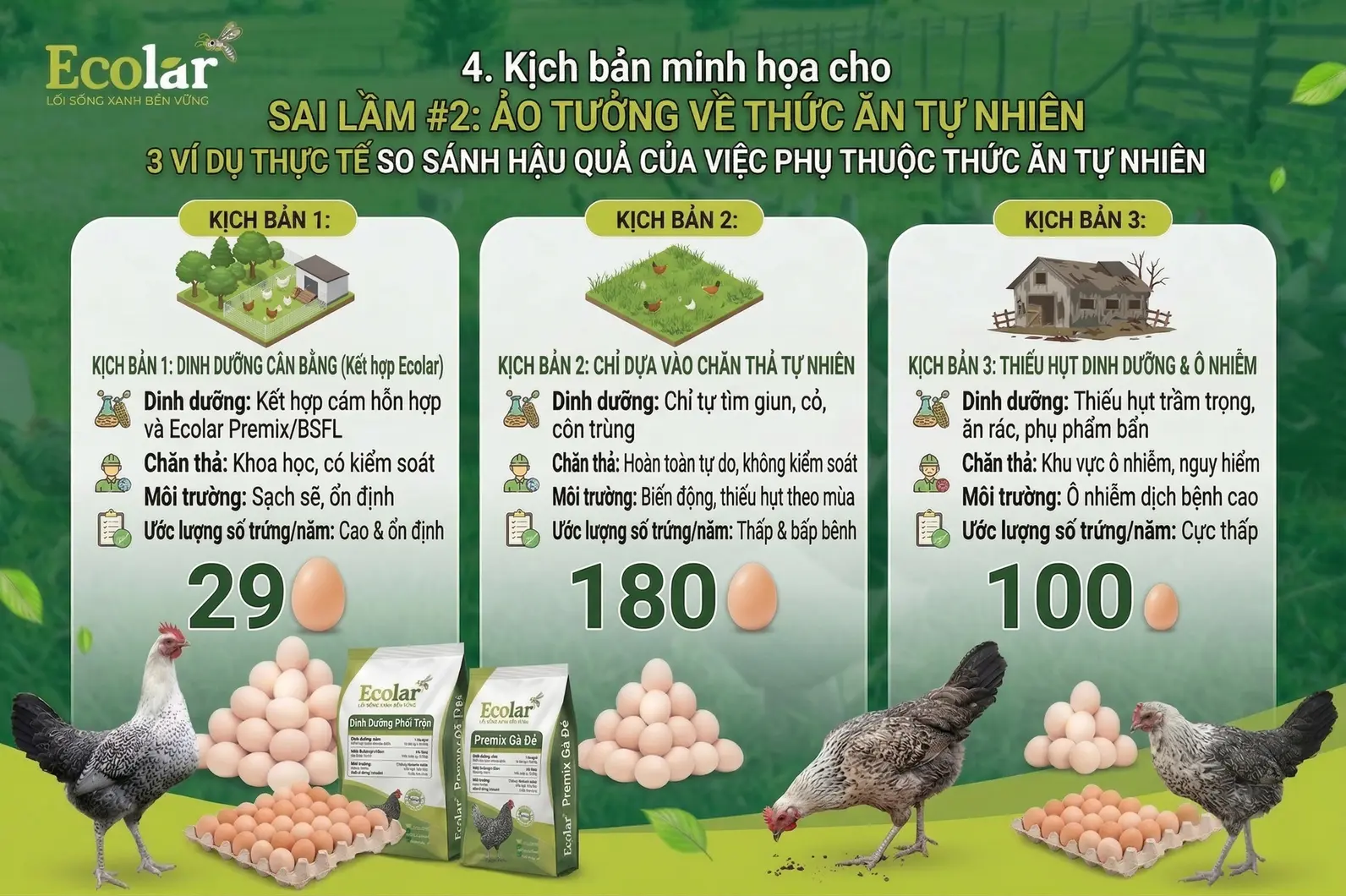 -2-ao-tuong-ve-nguon-thuc-an-tu-nhien_c944f867578f4de599db0ce629ceef93.webp