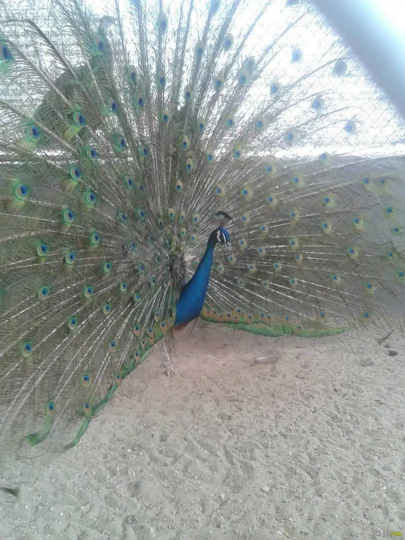 2013-03-18 10.46.30.webp