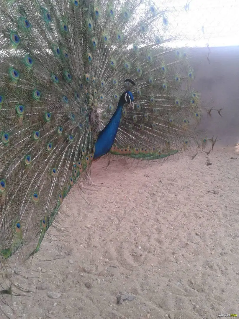 2013-03-18 10.48.47.webp