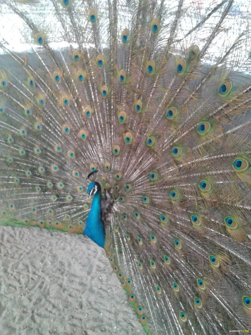 2013-03-18 15.25.26.webp