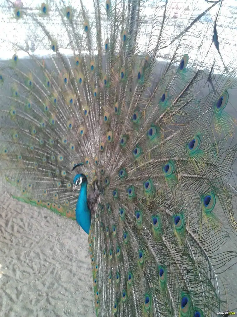 2013-03-18 15.25.34.webp