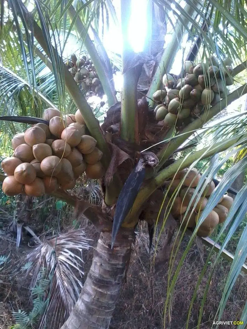 2014-11-25 07.12.23.webp