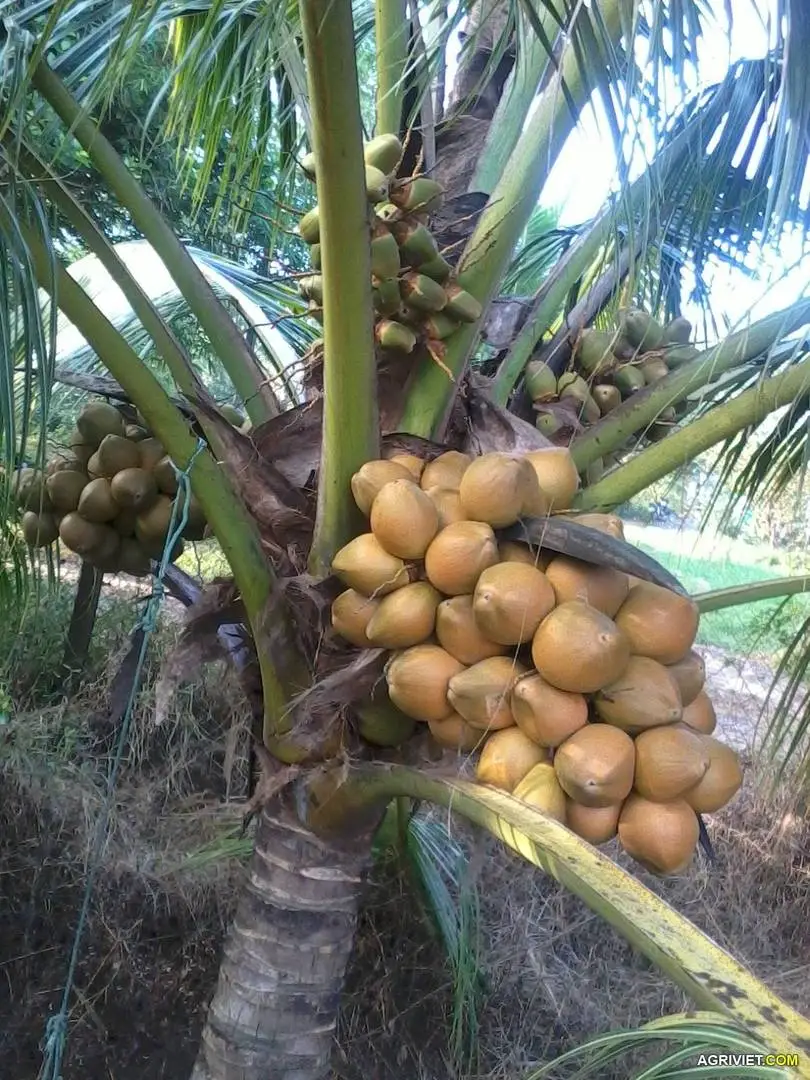 2014-11-25 07.12.50.webp