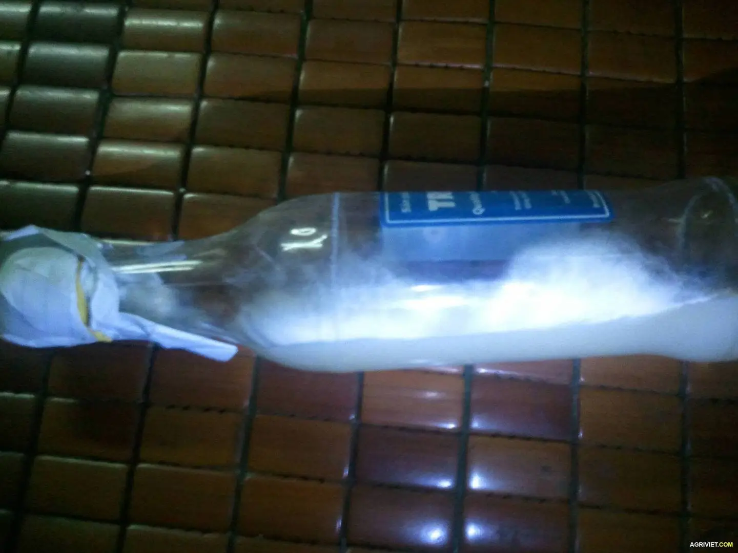 2015-06-14 21.04.10.webp