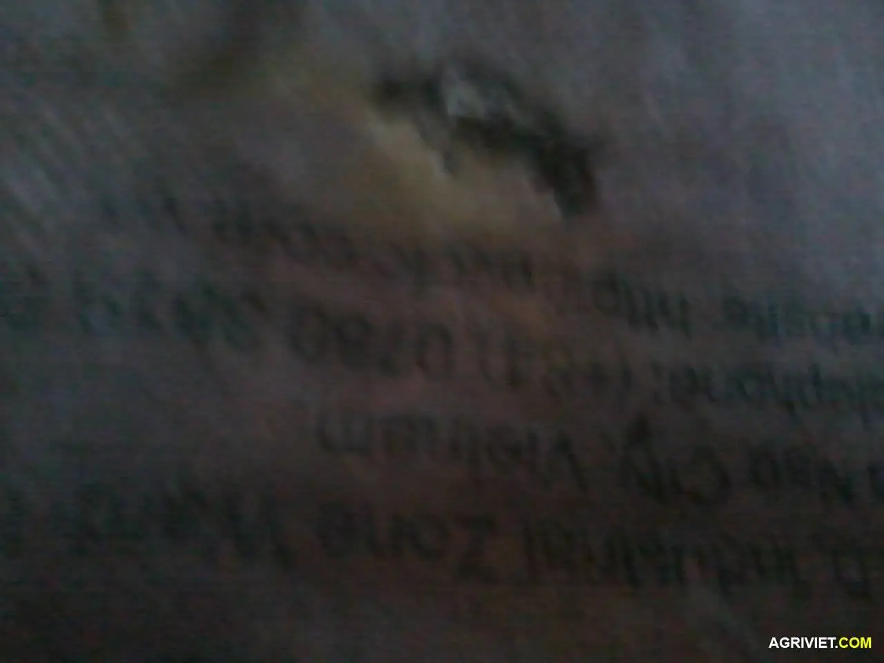 2015-07-01 18.14.20.webp