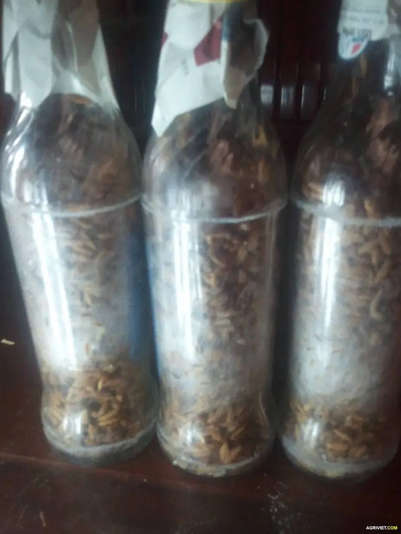 2015-07-05 09.05.48.webp