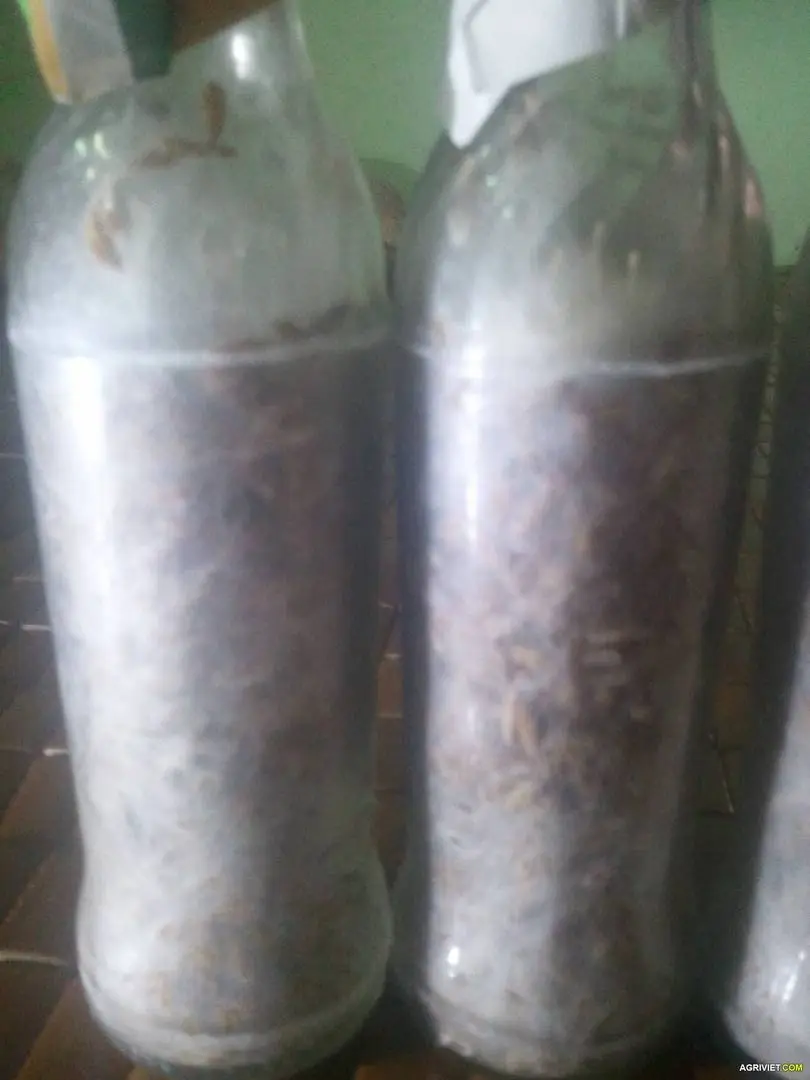 2015-07-08 08.18.11.webp