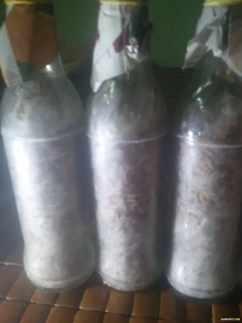 2015-07-08 08.20.17.webp