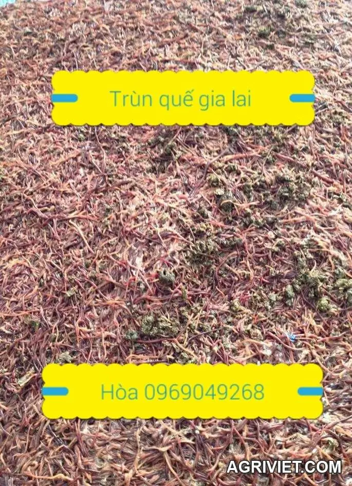 2015-12-10 21.22.01.webp