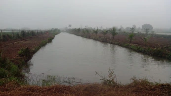 Cần bán đất trang trại 7500m2 tại Hải phòng