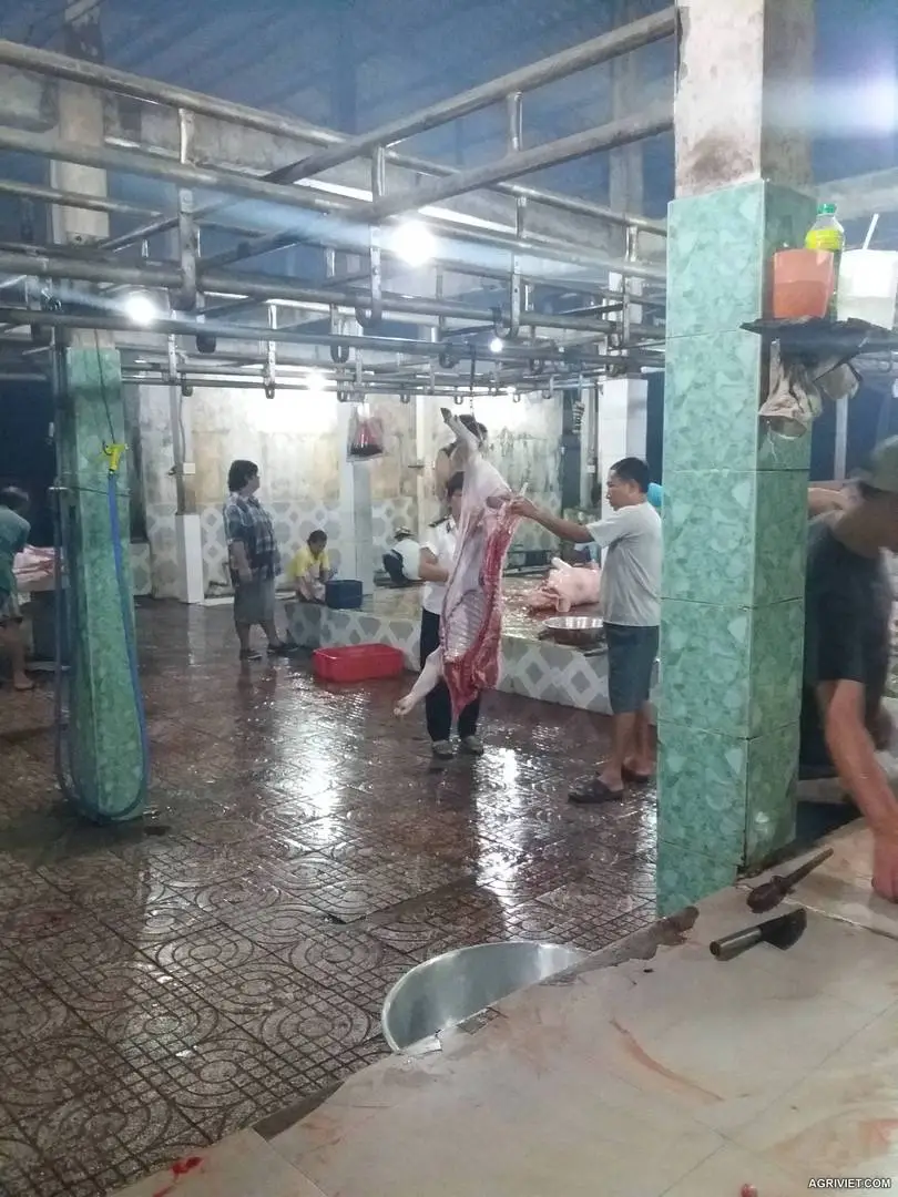 Họp tác cung cấp thịt heo