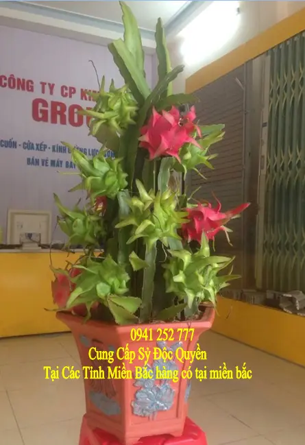 201639637641-7930-4e21-b5cb-149229243bd3 (1).webp