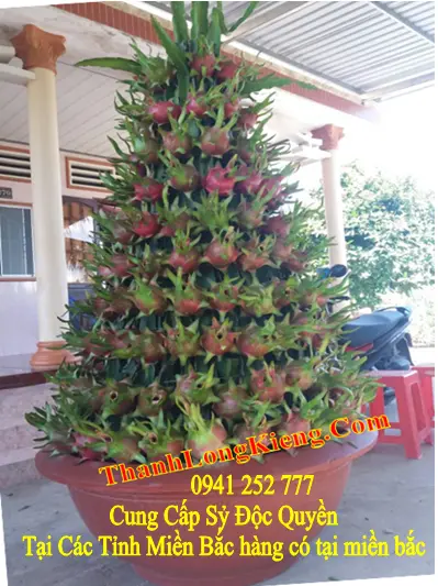20167349dcf7-d92a-483c-b557-500a4d60a657.webp