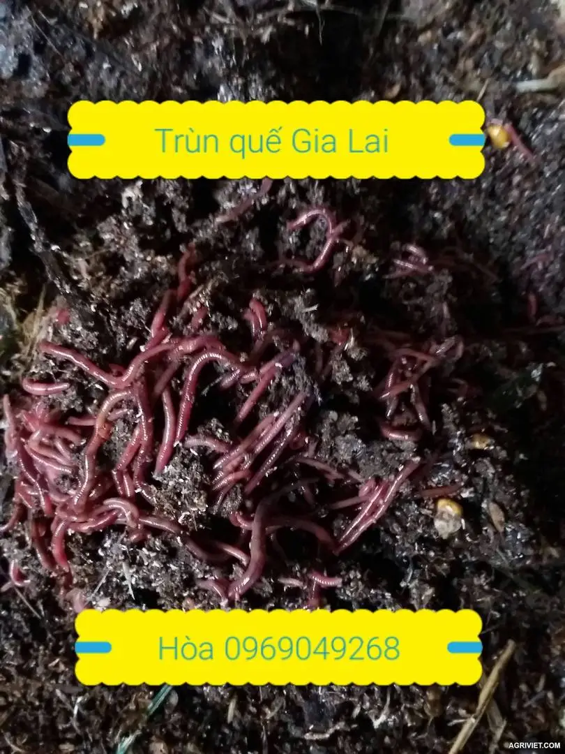 2017-03-09 12.19.11.webp