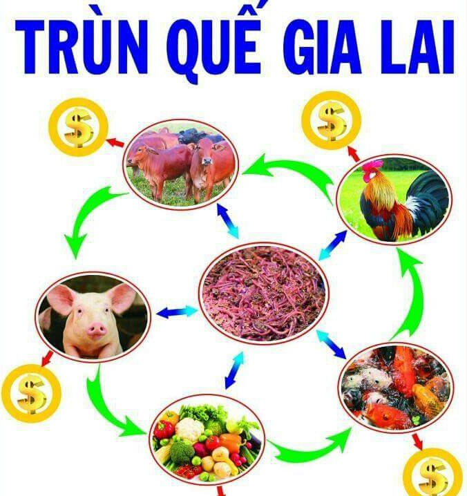 2017-09-18 18.44.55.webp