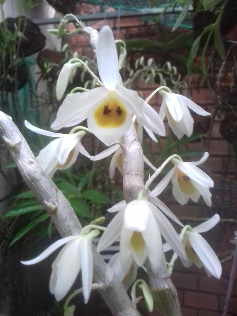 20170316_063842 (2).webp