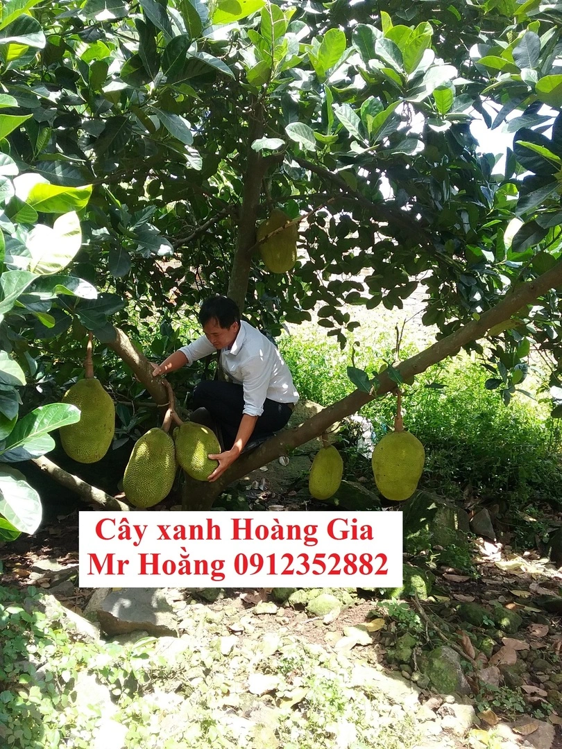 Tôi đã làm giàu từ nông nghiệp như thế nào?
