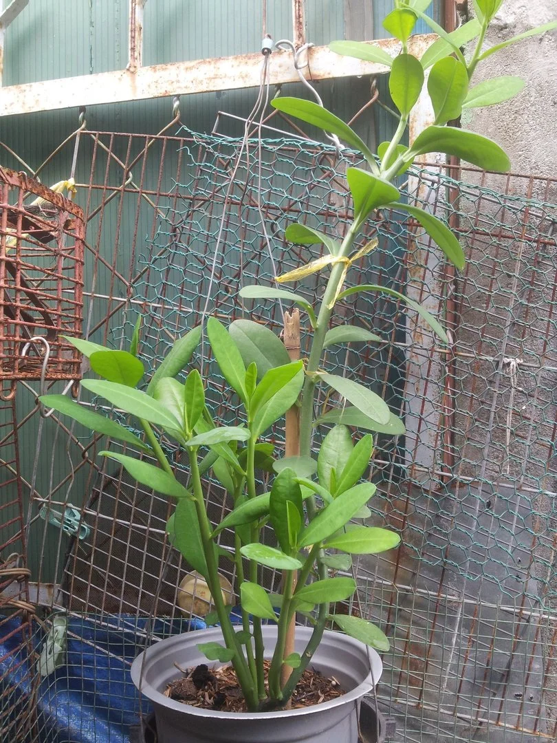 2018-06-05 11.50.24.webp