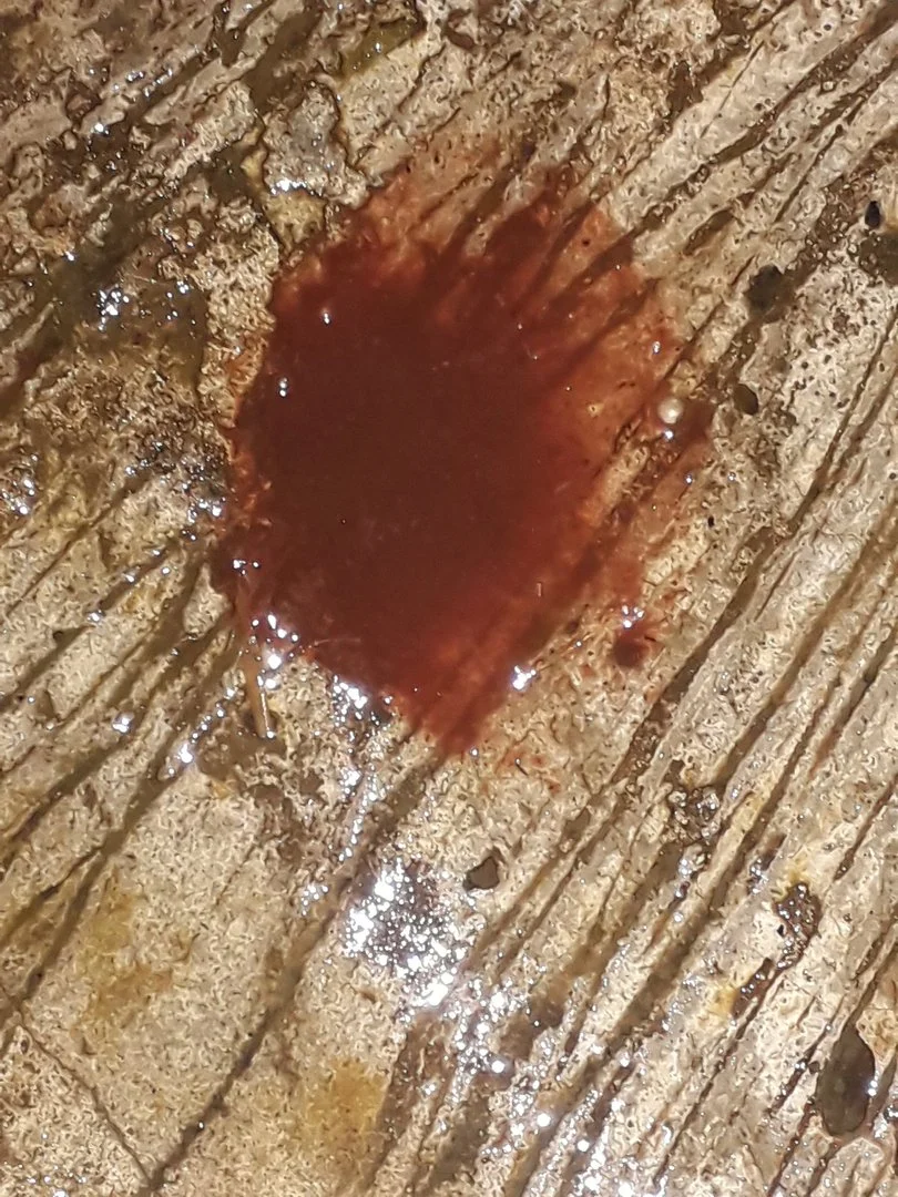 cham soc bo me va bê moi sinh