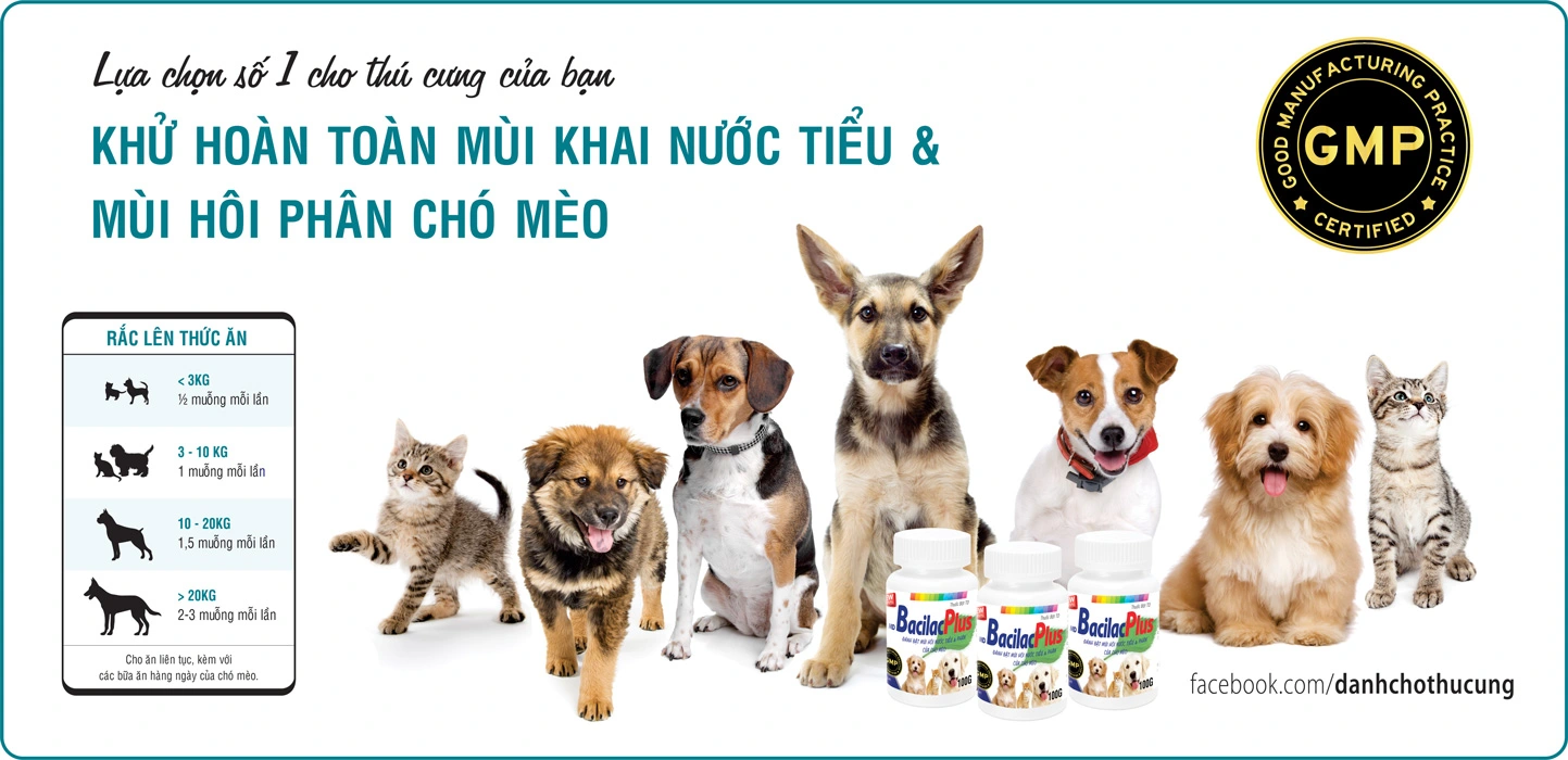 Giải pháp KHỬ HOÀN TOÀN mùi khai nước tiểu và mùi hôi từ phân chó mèo triệt để