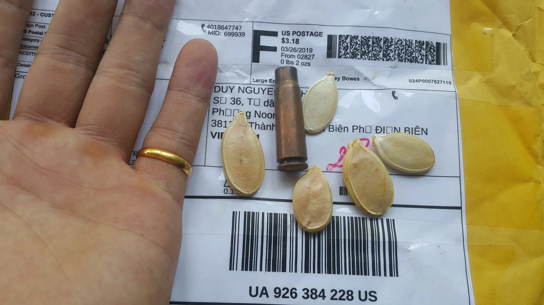 Hạt Bí ngô khổng lồ