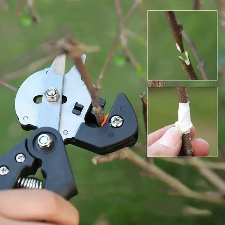 20993037_1891675717751130_1223130979032234843_n - Copy.webp