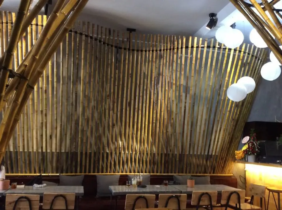 GIÁ CÂY TRÚC TỐT NHẤT