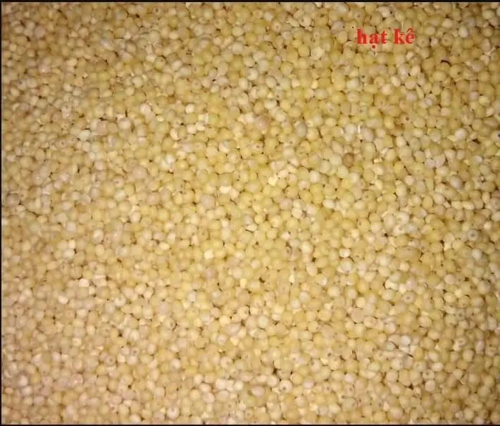 hỏi giá các loại hạt giành cho chim