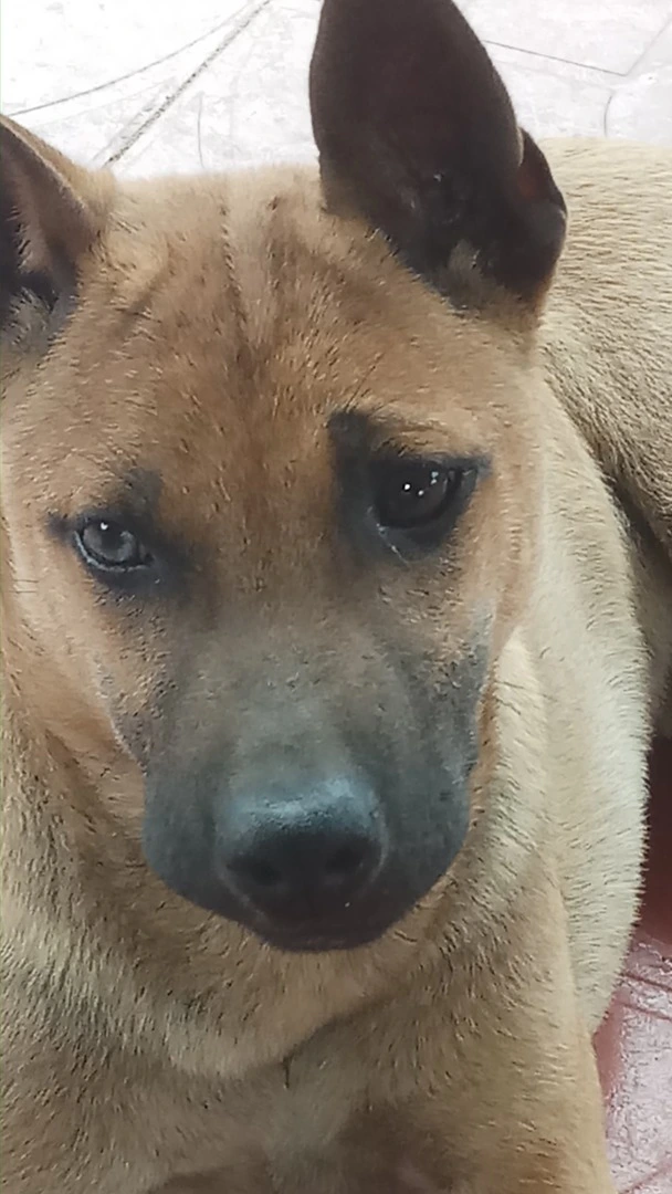 Nhờ các bạn tư vấn điều trị bệnh