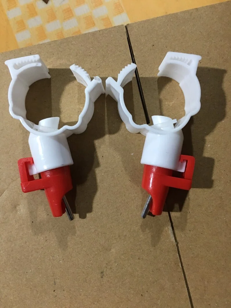 2e46ce91d1462b187257 - Copy.jpg