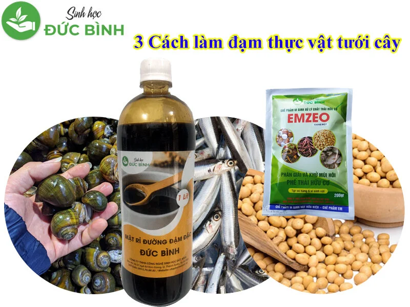 3 cách làm đạm thực vật tưới cây hiệu quả?