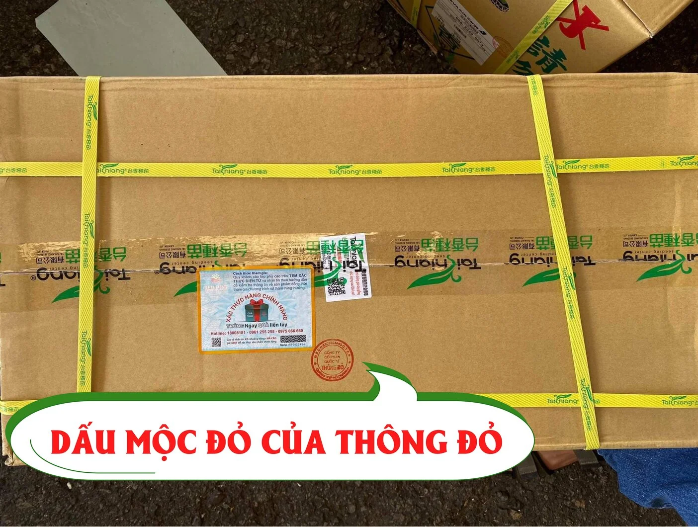 334c246c4bf9b7a7eee8-01 - Copy.webp