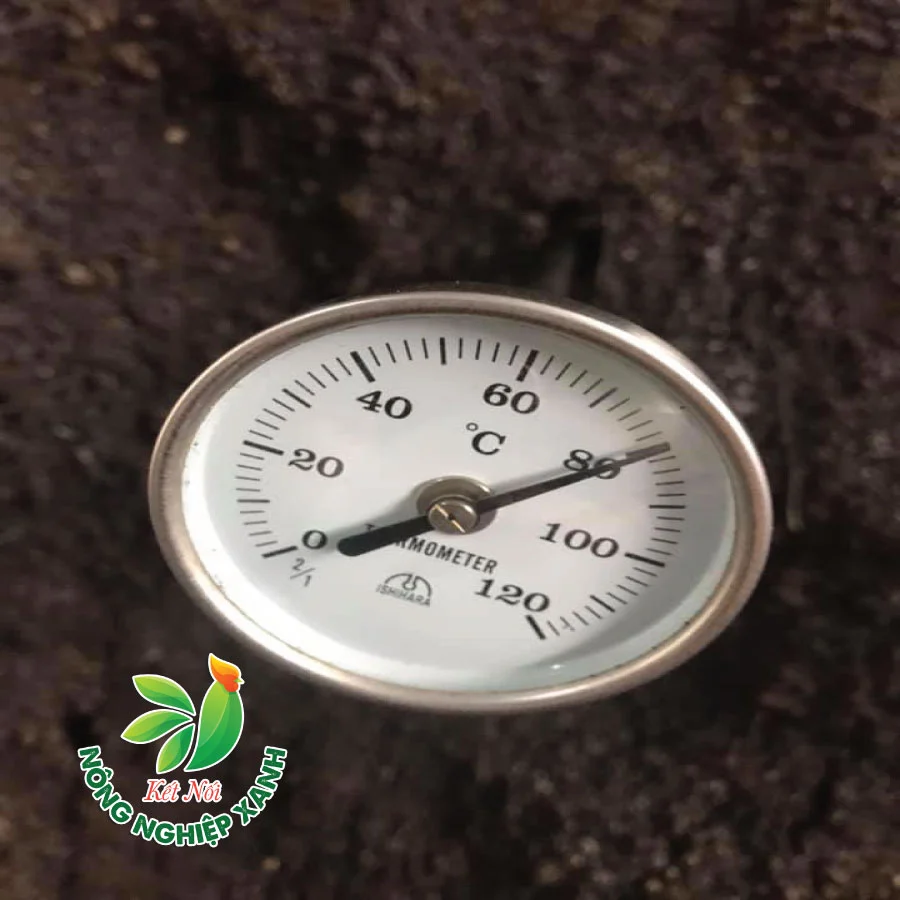 Phân Gà Nhật Bản Có Gì Khác Biệt? Và Tại Sao Giá Phân Gà Nhật Bản Lại Rất Rẻ?