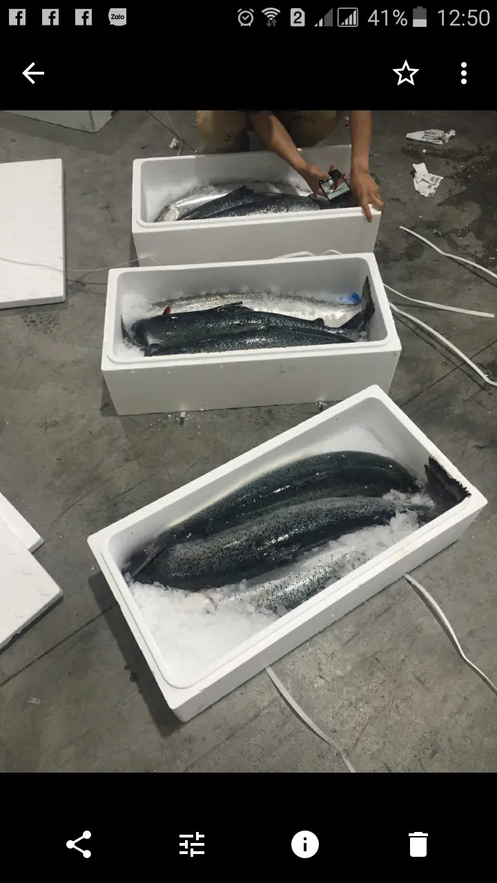 Hải Sản Tươi Sống