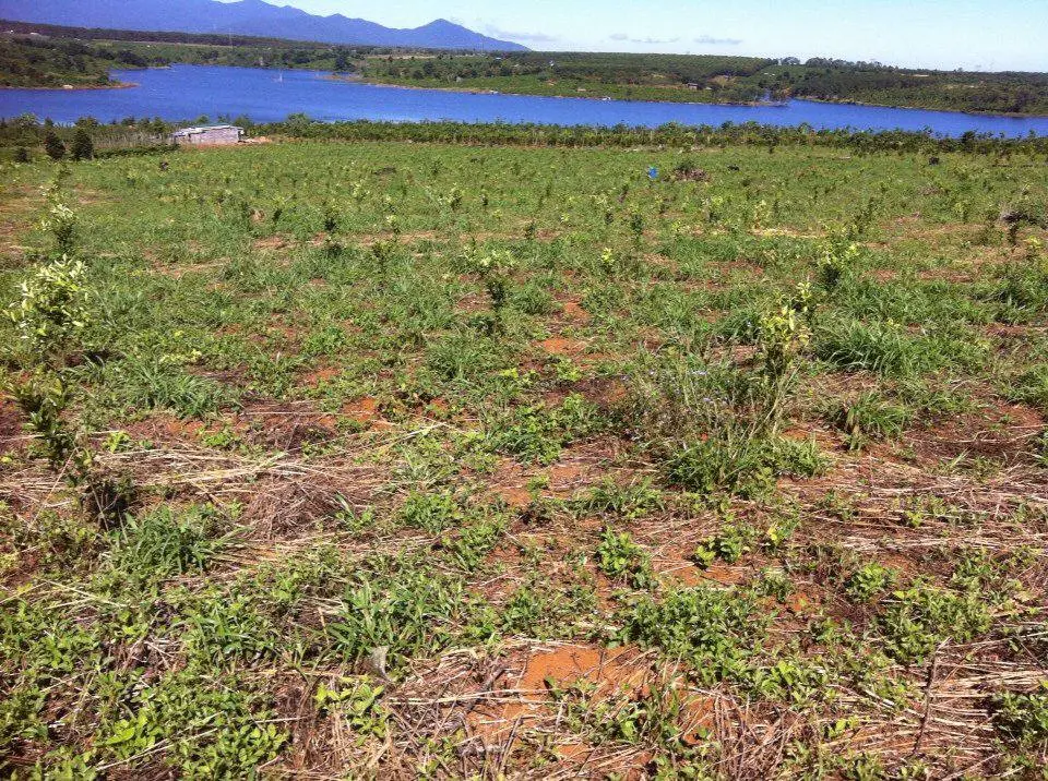 38046105_2222053151358689_3858399963604058112_n (1).webp