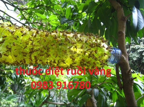 4120_f1a6131238041375da9da721858ad (1).webp