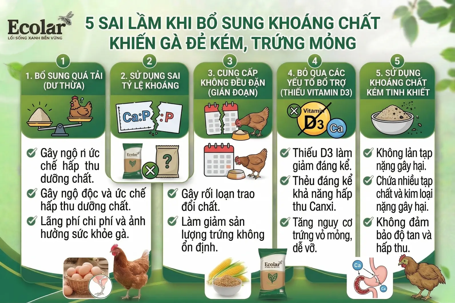 5-sai-lam-khi-bo-sung-khoang-chat_6ea23839b7e04055a7fcc6c886b7dbf5.webp