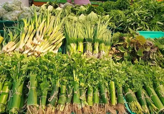 Khi Lá CHUỐI lên ngôi