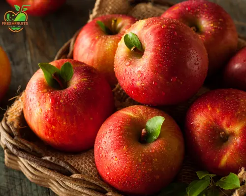 6 loại trái cây.png