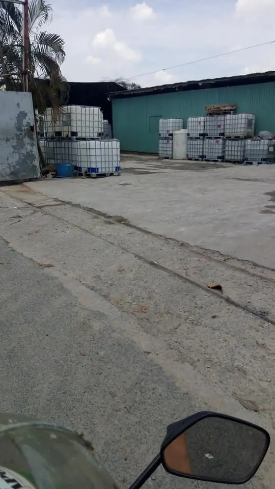 61385193_2249945631937055_1885386674670665728_n - Copy.webp