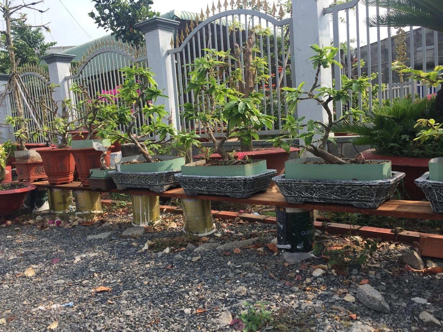 Mong ae cho e chút demo. E là ng mới