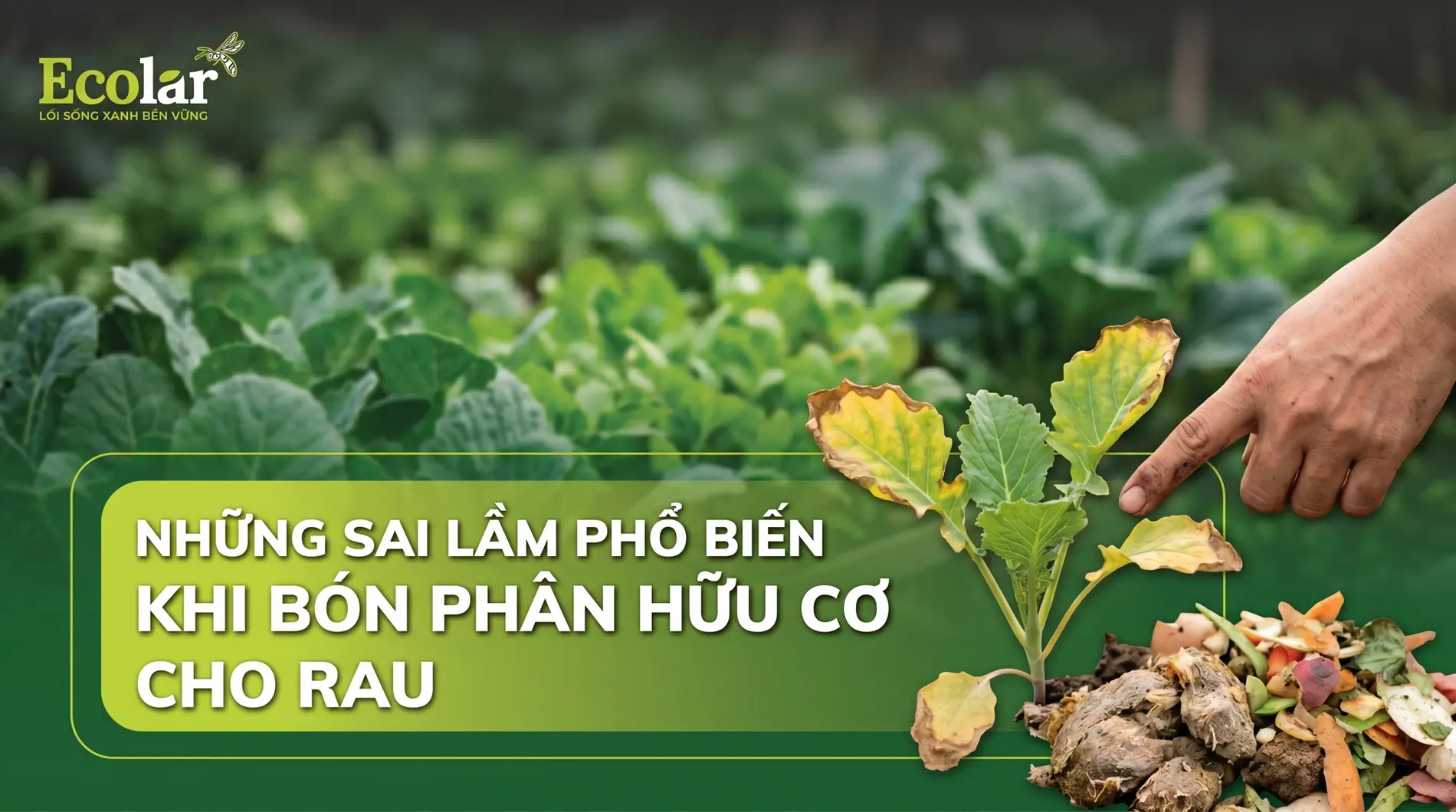 7-sai-lam-khi-bon-phan-huu-co-cho-rau-va-cach-khac-phuc_01188d0c44c44fb780d5563b92d47bab.webp