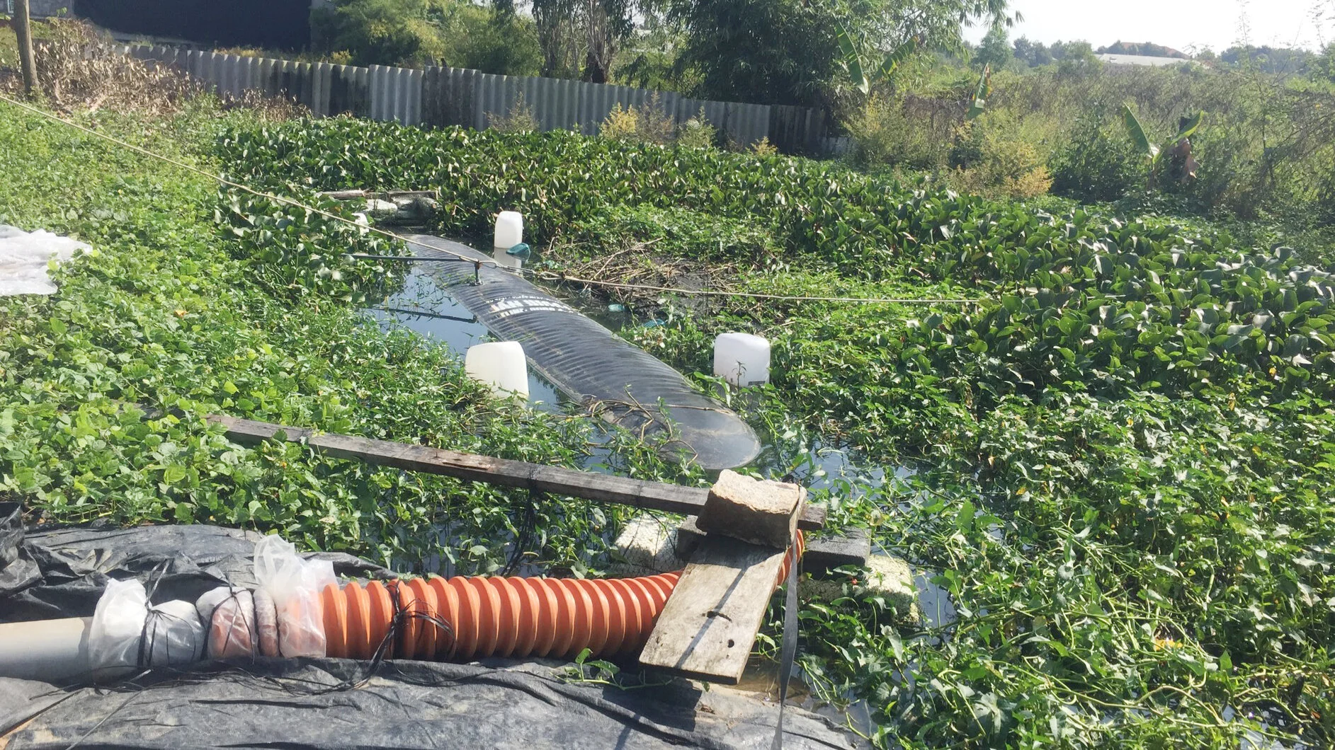 Biogas nổi trên mặt nước là có thật.