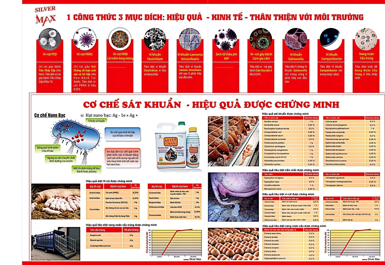 7f91bb10bec55c9b05d4 - Copy.webp